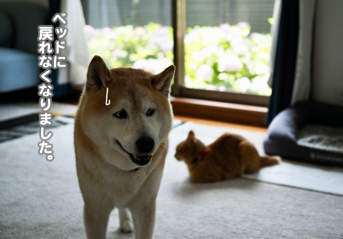19日午前ブログ２