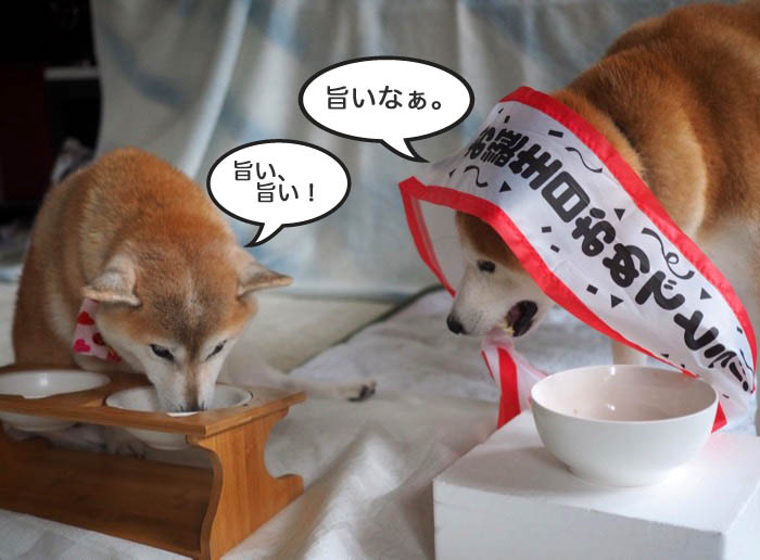 24日夜ブログ５