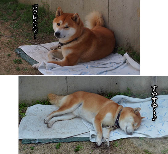 20日ブログ18.jpg