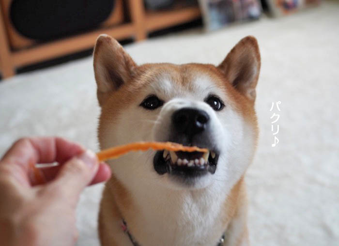 12日午後ブログ９