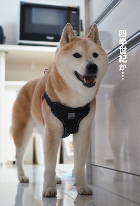 16日夕ブログ２