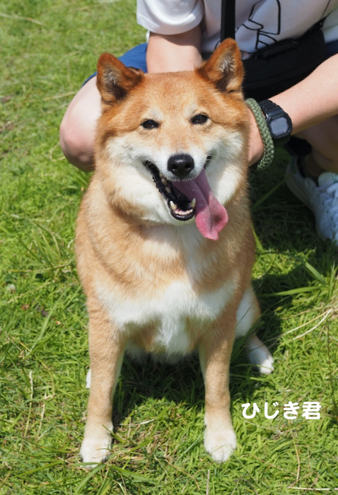 13日夕ブログ８
