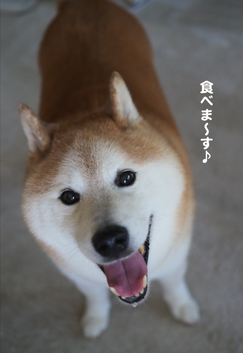 15日夕ブログ3
