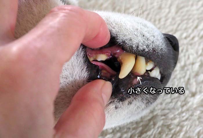 4日ブログ１３