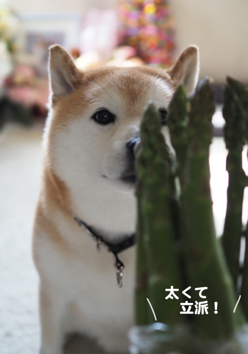 3日ブログ５