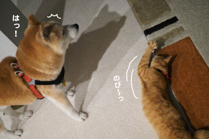 17日ブログ１