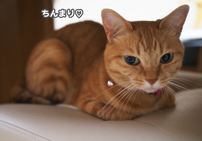 9日ブログ１