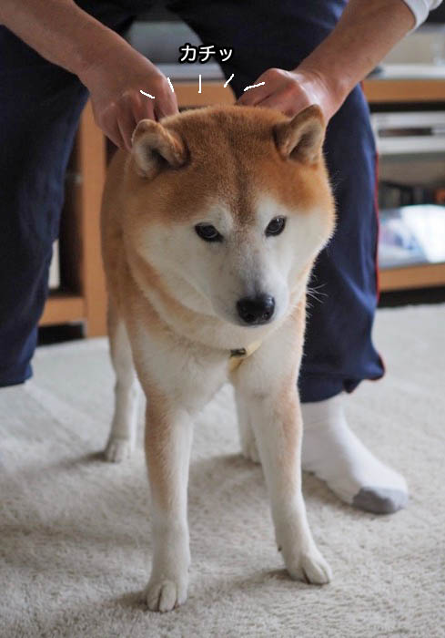 12日夜ブログ２