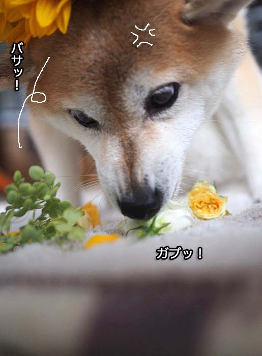 30日午後ブログ７