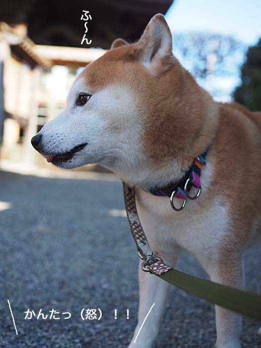 19日ブログ５