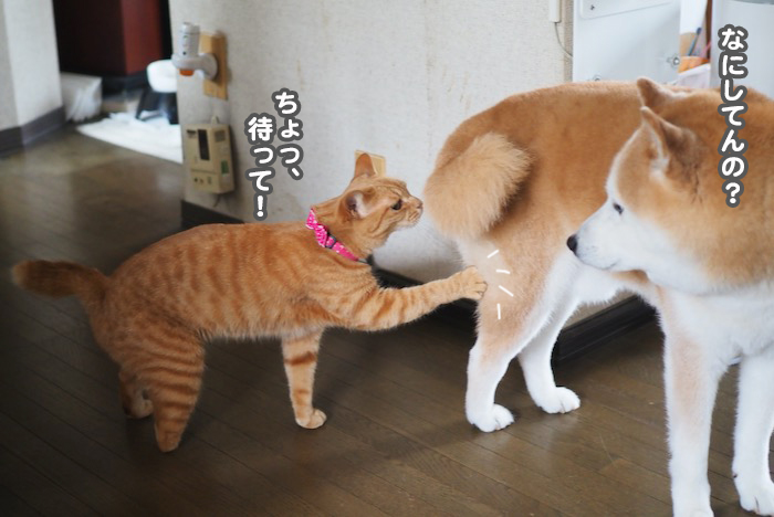 30日夕ブログ５