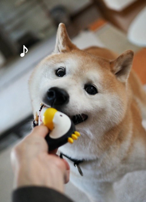 28日夕ブログ５