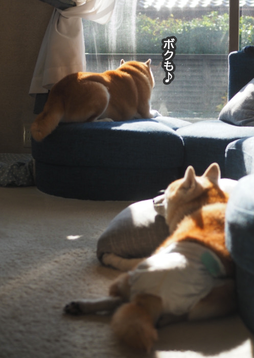 3日ブログ５