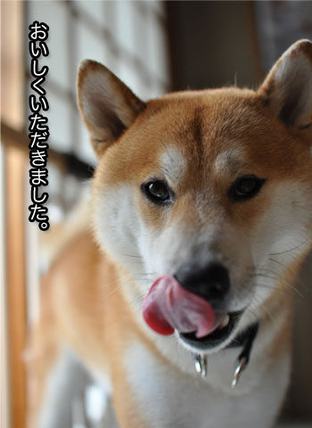 30日ブログ18.jpg