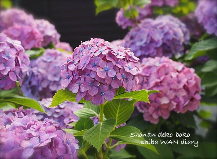 20日夜ブログ１