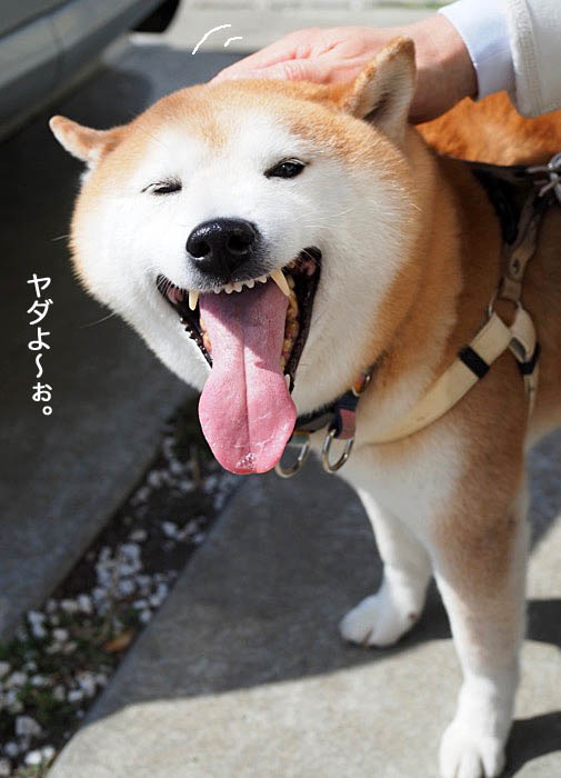 14日ブログ１０