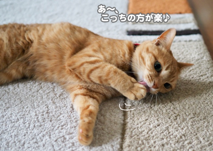 27日ブログ２