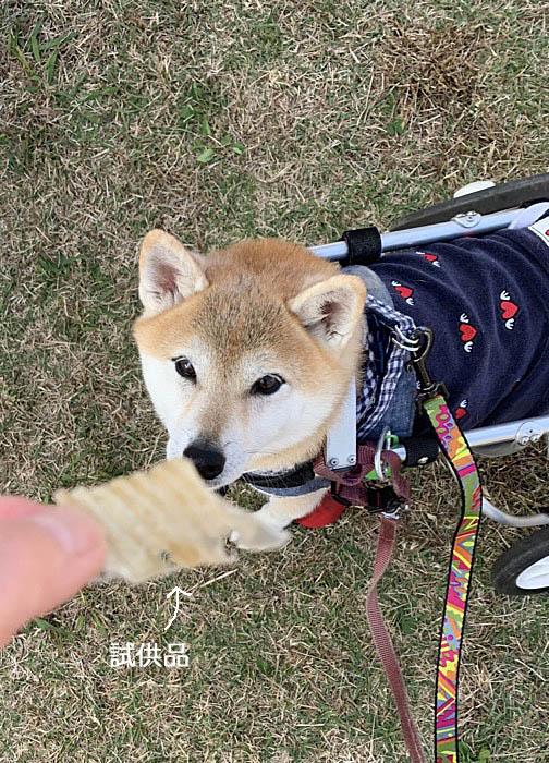 2日午後ブログ５
