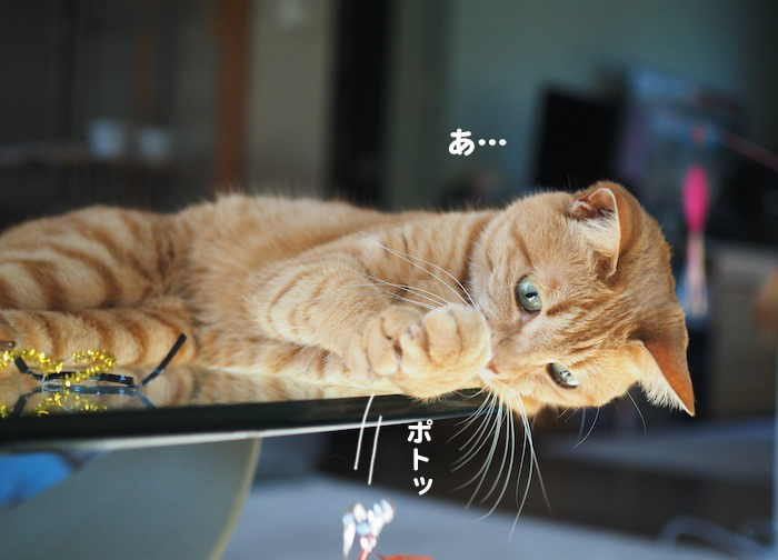 4日夕ブログ８