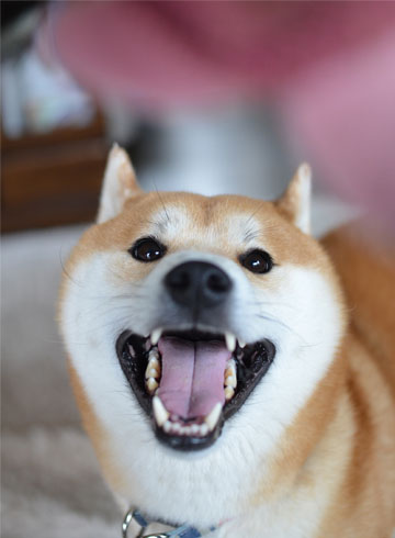 28日ブログ2.jpg