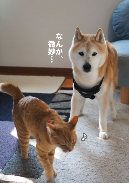 8日夕ブログ６