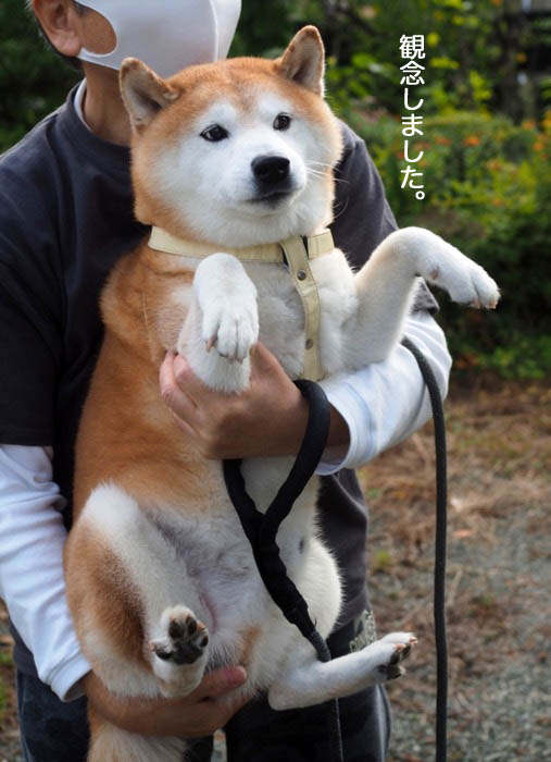 27日ブログ９