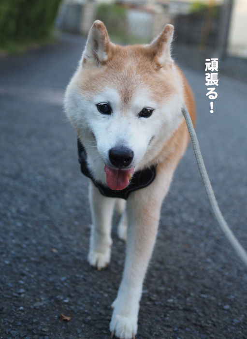29日夜ブログ５