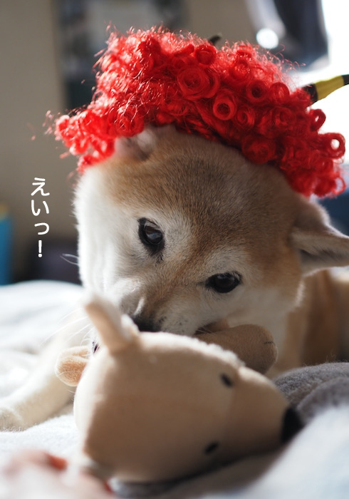 3日夜ブログ７
