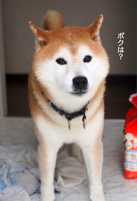 28日夕ブログ６