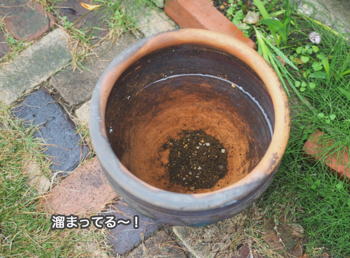 1日昼ブログ１