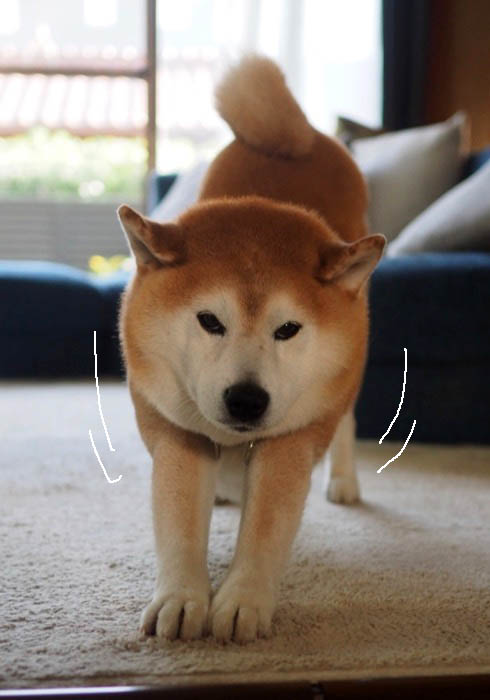 15日ブログ２