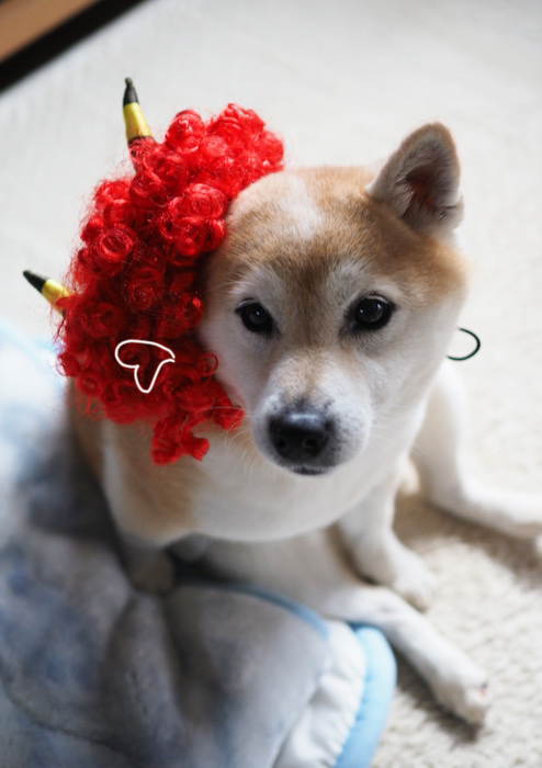 3日夜ブログ１０