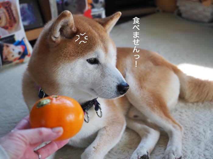 18日ブログ８