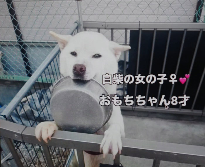 30日夕ブログ１