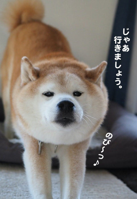 29日夕ブログ４