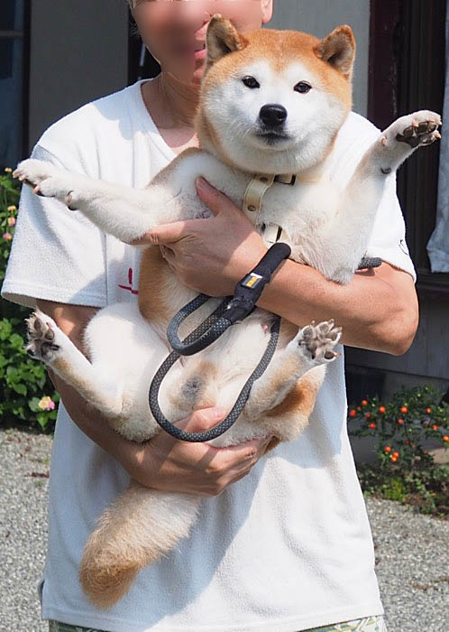 25日朝ブログ１