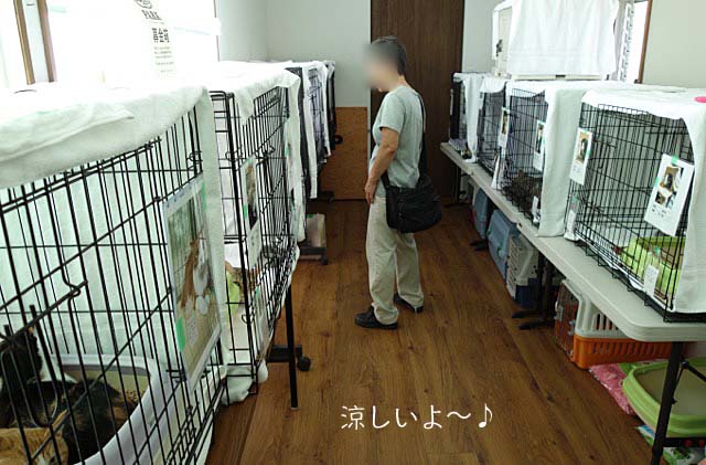 11日ブログ3