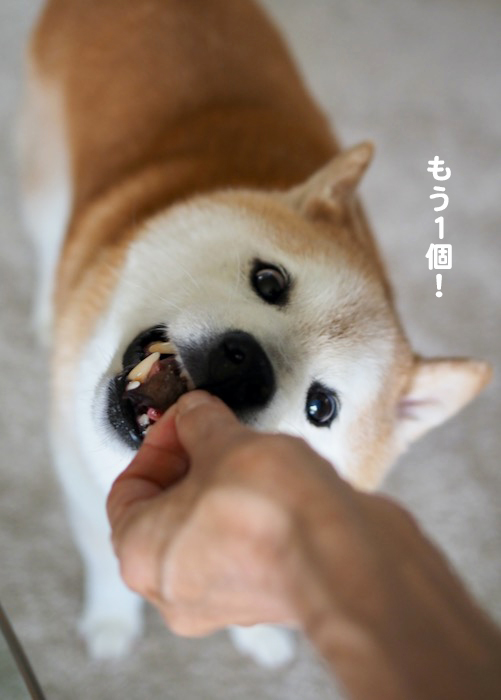 14日夕ブログ６