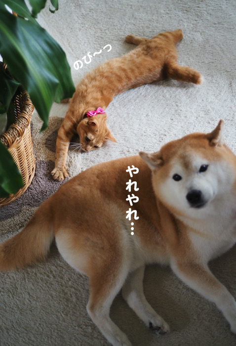 16日夜ブログ９