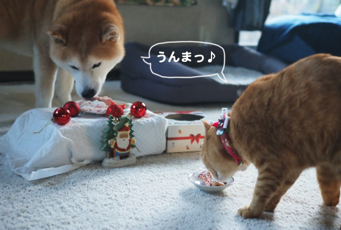 26日夕ブログ３