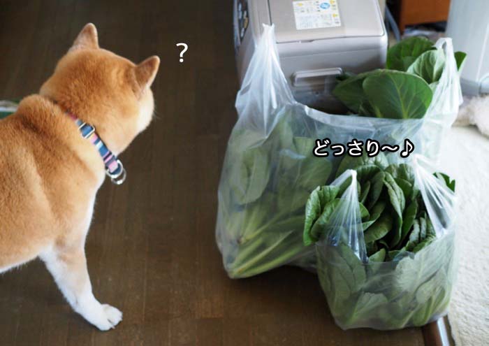 1日夜ブログ２