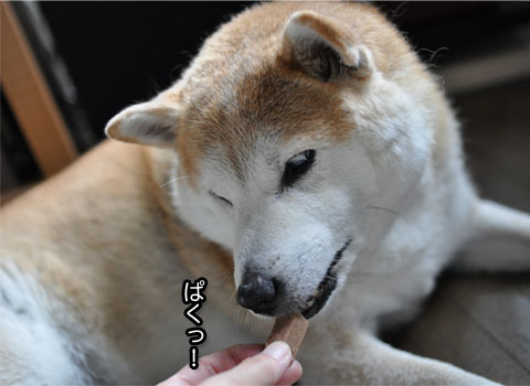 30日ブログ6.jpg