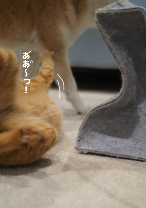 16日夕ブログ６