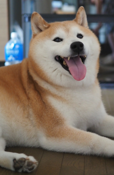 22日ブログ４