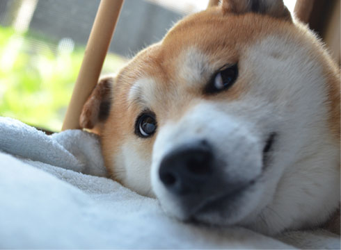 23日ブログ7.jpg