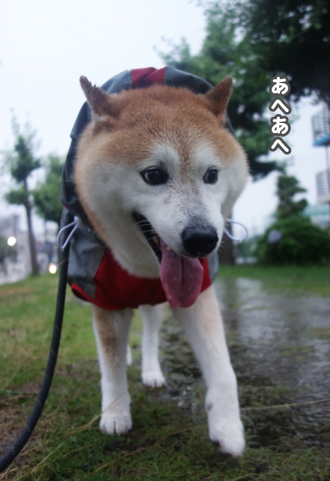 16日ブログ2