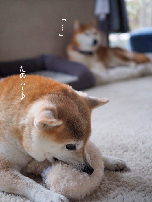 12日ブログ３