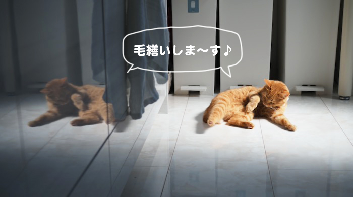 19日夕ブログ３