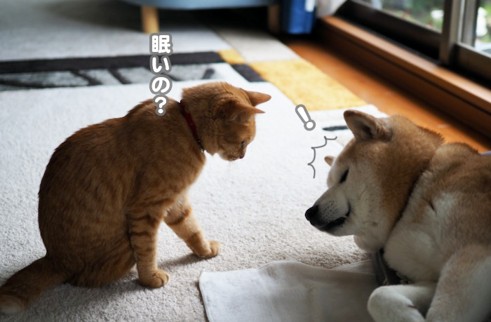 26日ブログ２