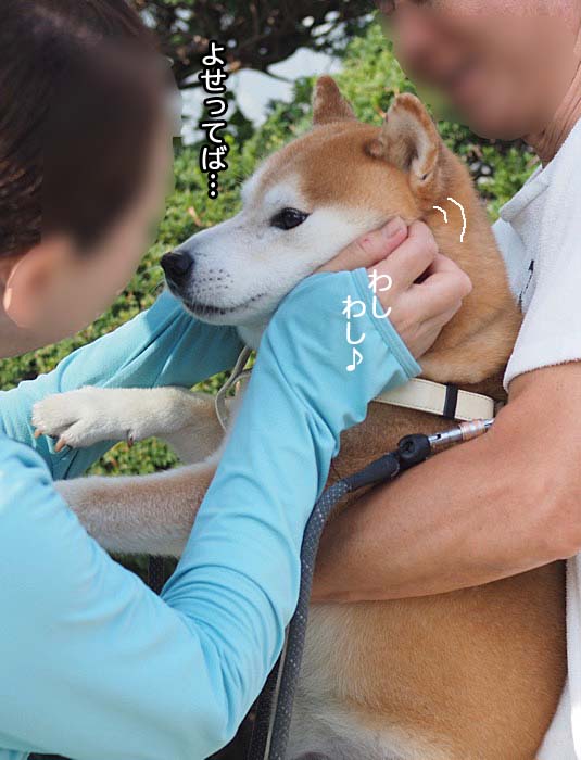 27日ブログ７